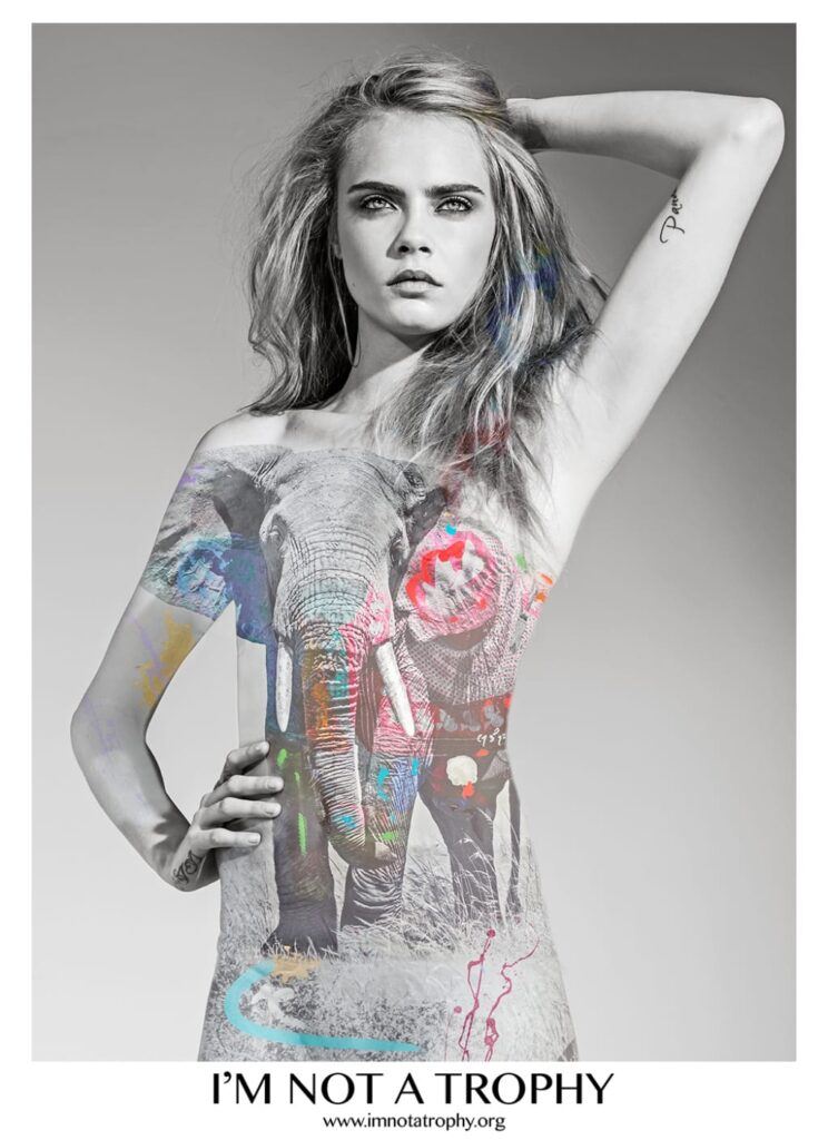 cara-elephant-logo-web-2jpg